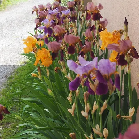 D'hotes Du Ruisseau D'argent Отель типа 