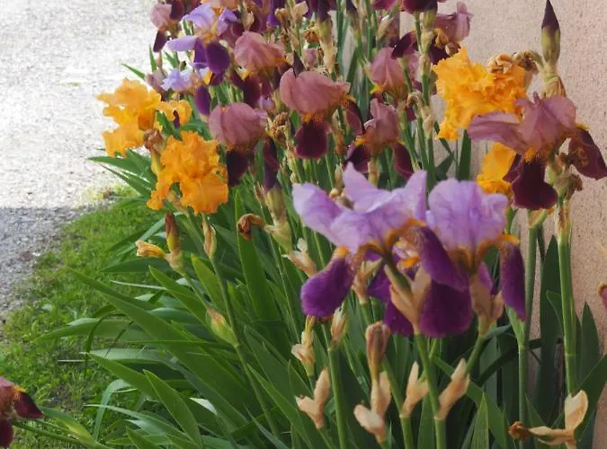 D'hôtes Du Ruisseau D'argent Alojamento de Acomodação e Pequeno-almoço Archettes